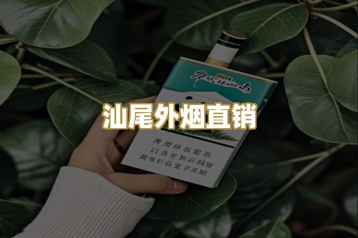 汕尾外烟直销